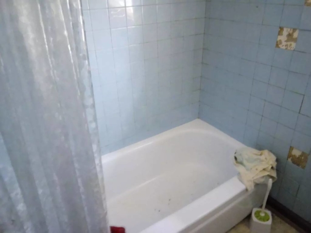 Bathtub Before