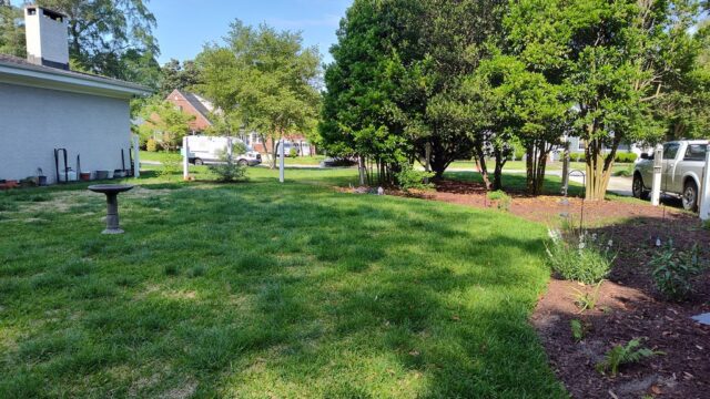 Replacing Rotted Wooden Panel Fence: Remove Wooden Panels