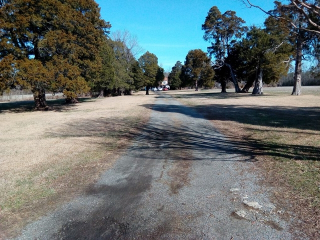 Driveway Before