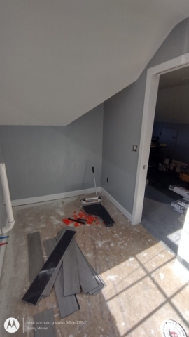 Wall and Trim Painting 2