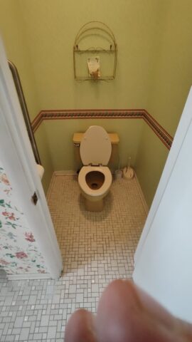 Before Construction: Toilet and Tile Flooring Before Construction: Toilet and Tile Flooring